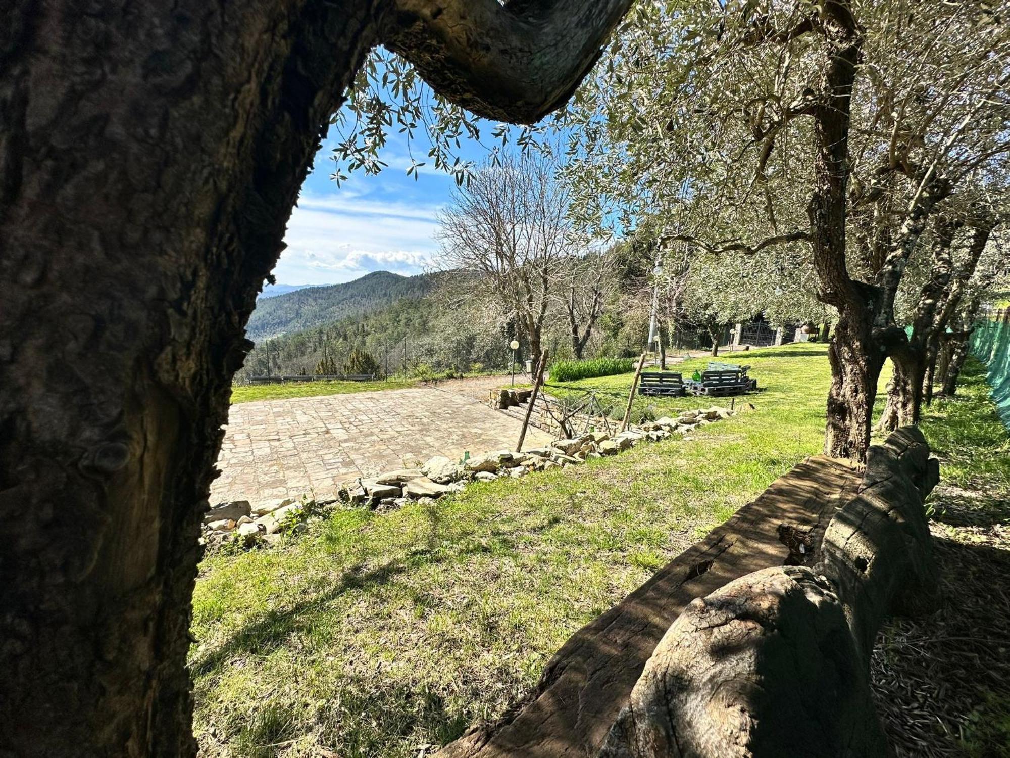 Agriturismo Tassinaia Pontassieve Εξωτερικό φωτογραφία