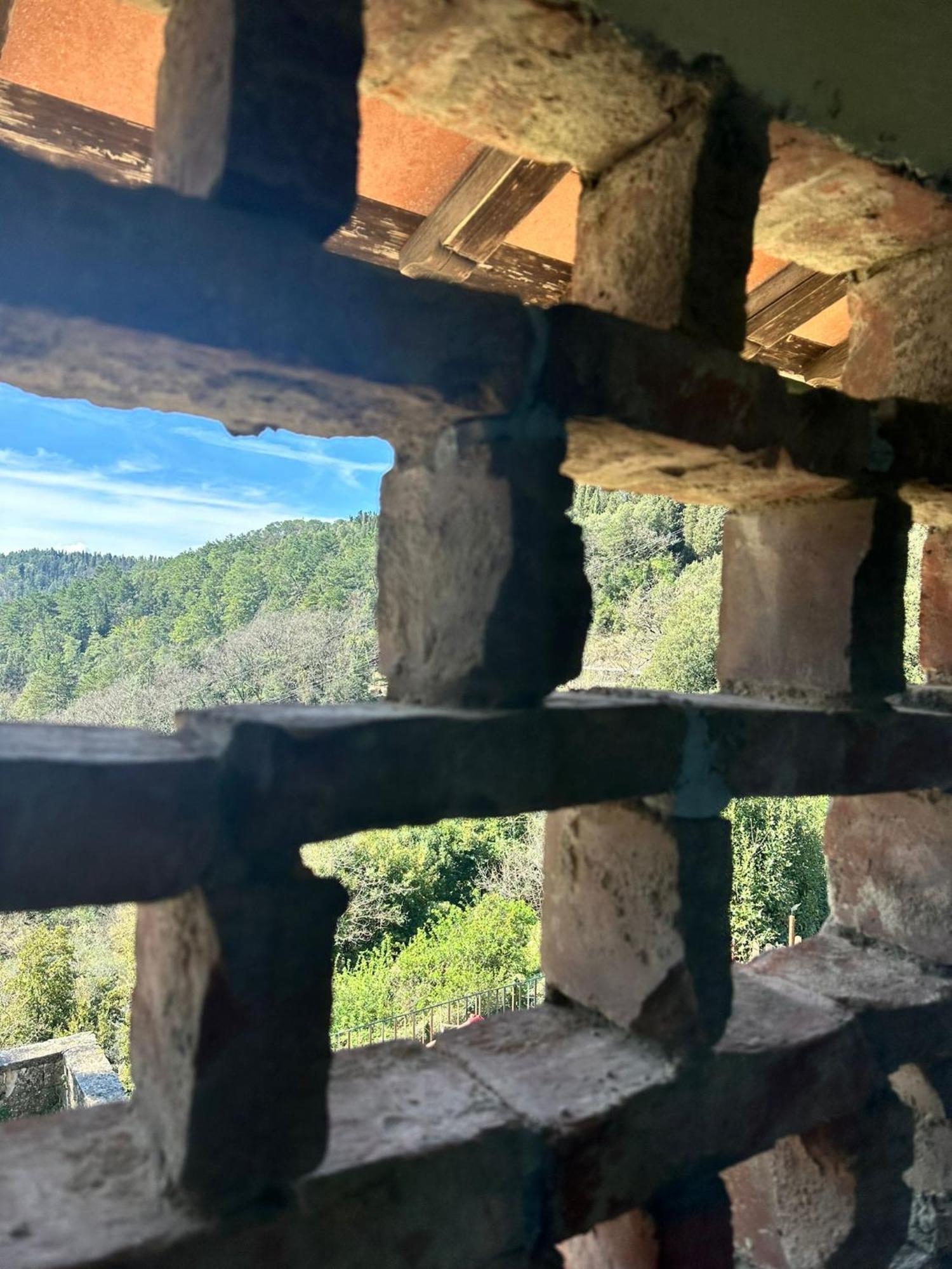 Agriturismo Tassinaia Pontassieve Εξωτερικό φωτογραφία