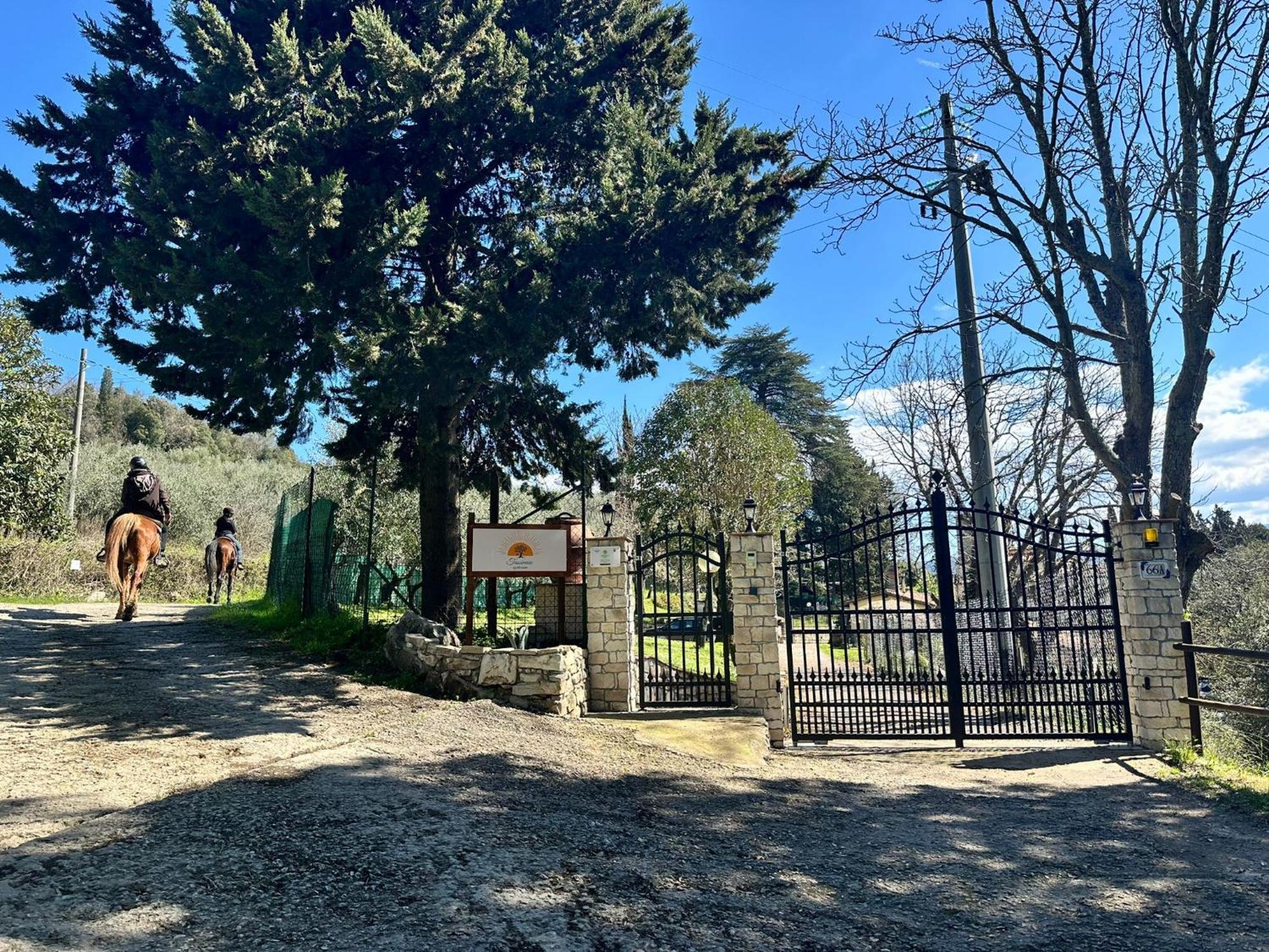 Agriturismo Tassinaia Pontassieve Εξωτερικό φωτογραφία