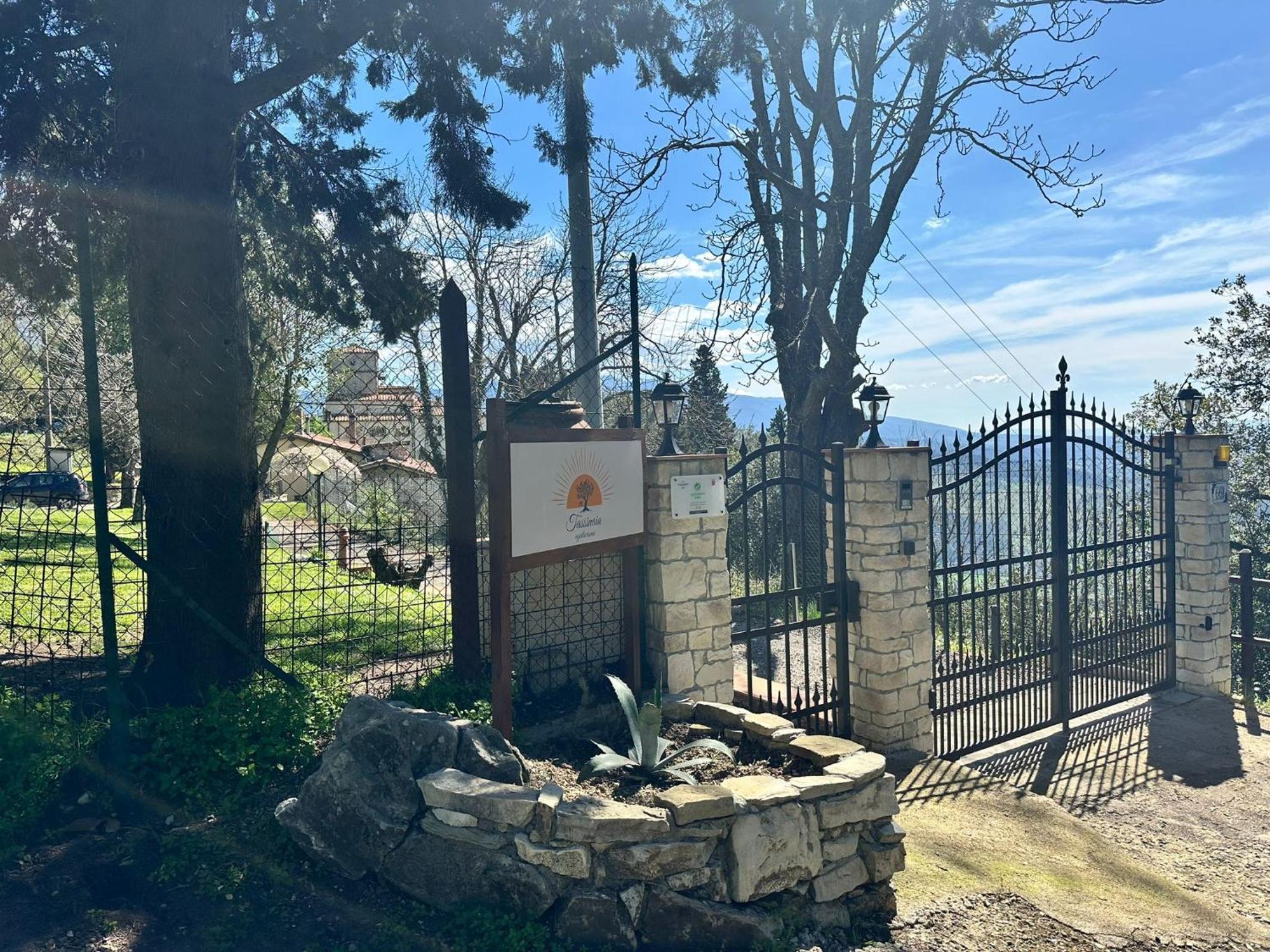 Agriturismo Tassinaia Pontassieve Εξωτερικό φωτογραφία