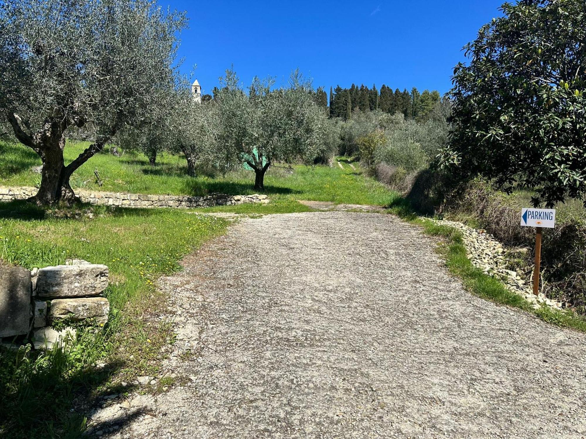 Agriturismo Tassinaia Pontassieve Εξωτερικό φωτογραφία