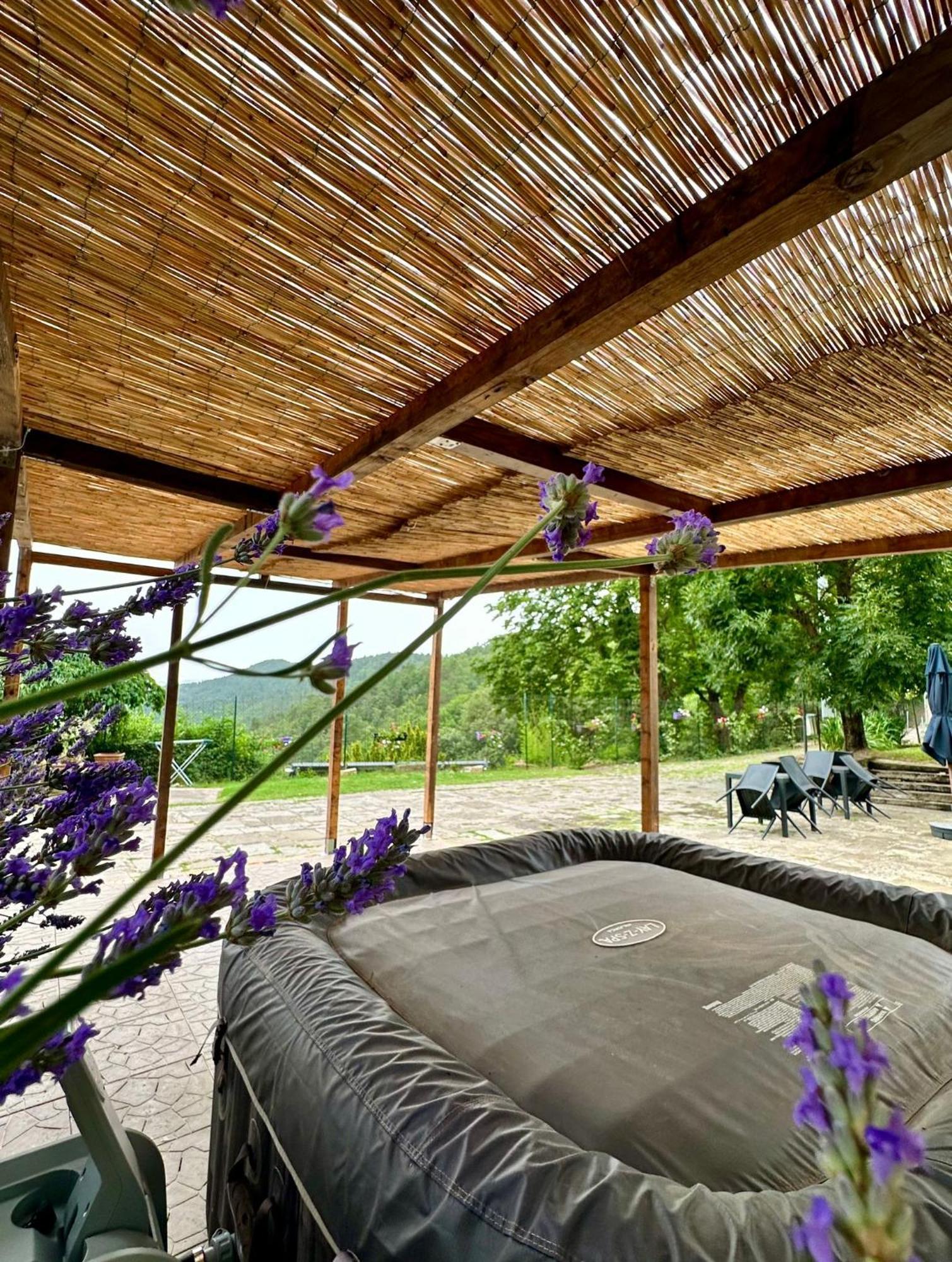 Agriturismo Tassinaia Pontassieve Εξωτερικό φωτογραφία
